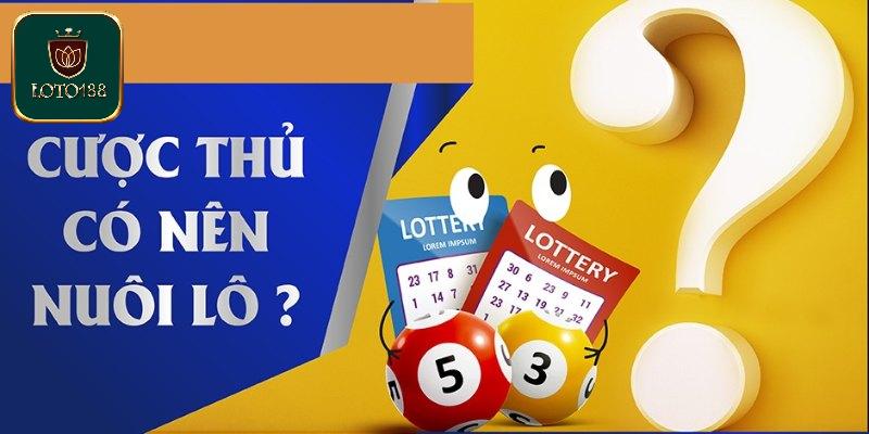 Có Nên Nuôi Lô Không? Cách Nuôi Chuẩn Và Hiệu Quả Nhất