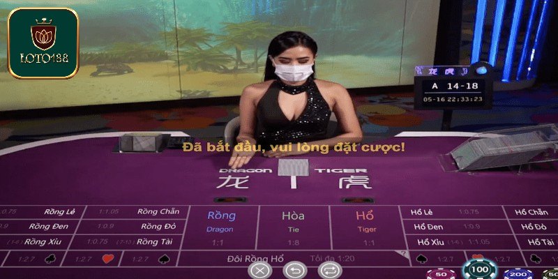 Khám phá luật chơi cơ bản