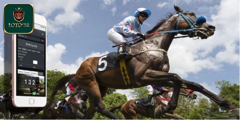 Top bộ môn thể thao lôi cuốn